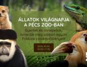 Állatok világnapja a PécsZoo-ban