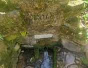 Anyák kútja, anyák útja - Anyáknapi erdőmeditációs túra Mánfán