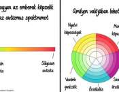 Autizmus spektrum zavar - alap szülőtréning online a Vadaskert Alapítvány a Gyermekek Lelki Egészségéért szervezésében