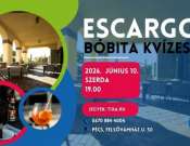 Escargo - Bóbita kvíz az Escargo Kávé- és Kakóbárban