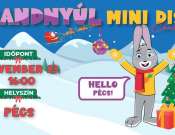 Brandnyúl Mini Disco Pécs