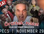 Dolák-Saly Róbert: Örültek, haza! - dupla előadás a PKK Apáczai Művelődési Házban