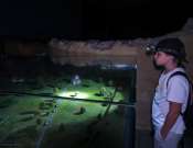 Éjszakai tárlatjárat gyerekeknek a Cella Septichorában