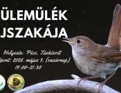 Fülemülék éjszakája - esti séta és madárének hallgatás Tüskésréten