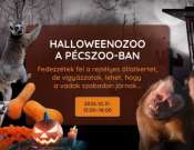 HalloweenoZoo a Pécsi Állatkertben