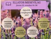 Illatos Mesevilág Levendula Lackóval a Mischler Cukrászdában