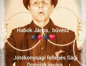 Jótékonysági fellépés Dominikért Pécsváradon