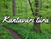 Kantavári túra a Misina Tetőpontról