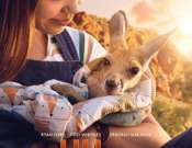 Kultik matiné: Lili és a kenguru - filmvetítés a Kultik Pécs - Uránia Moziban