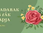 Madarak és fák napja az Idrisz Baba türbéjében