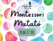 Montessori Matato és Tapicskoló a Roomliban