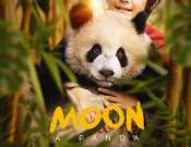 Kultik matiné: Moon, a panda - filmvetítés a Kultik Pécs - Uránia Moziban Kultik matiné: Moon, a panda - filmvetítés a Kultik Pécs - Uránia Moziban