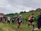 6. Pécs - Orfű - Abaliget félmaraton 2025