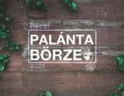 Palántabörze pécsen a Zöld Folt Közösségi Kertben