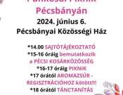 Pünkösdi Piknik Pécsbányán