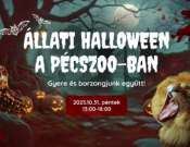 Állati Halloween a PécsZoo-ban