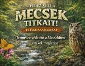 Természetbarátok Klubja a Tettye téren