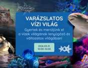 Varázslatos vízi világ - Víz világnapja a PécsZoo-ban