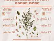 Zöld körforgás - Mag és szobanövény csere-bere a Csorba Győző Könyvtárban