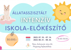 Állatasszisztált intenzív iskola-előkészítő indul a Pitypang fejlesztőházban