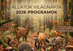 Mancsok, paták, szárnyak: Éljen az Állatok Hete! Mancsok, paták, szárnyak: Éljen az Állatok Hete!