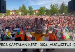 BRANDNYÚL MINI DISCO PÉCSETT - Jön a nyár legjobb gyerekbulija!