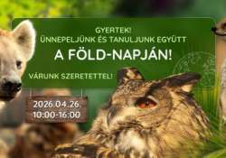 Föld NApja a Pécs Zoo-ban