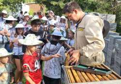 Jártál már a Mézmúzeumban? Jártál már a Mézmúzeumban?