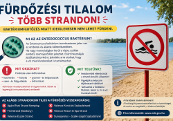 Fürdőzési tilalom több strandon – Mit jelent az Enterococcus baktérium, és miért kell komolyan venni?