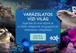 Varázslatos vízi világ - Víz világnapja a PécsZoo-ban