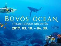 Bűvös óceán - Titkos tengeri küldetés - Kiállítás és játék