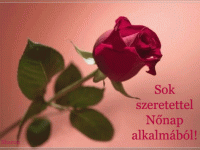 Női sorsok, csajos sztorik: Bovarynétól Bridget Jones-ig Női sorsok, csajos sztorik: Bovarynétól Bridget Jones-ig