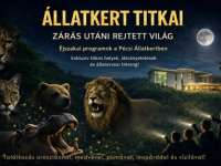 Állatkert titkai - zárás utáni rejtett világ a PécsZoo-ban
