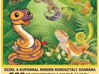 Ausztrália mesés állatvilága - hüllő és kisállat kiállítás a PKK Apáczai Művelődési Házban