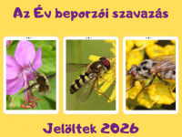 Az Év Beporzói jelöltje idén kivétel nélkül legyek