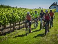 BalatonBike365 – bringás túrák egész évben BalatonBike365 – bringás túrák egész évben