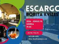 Escargo - Bóbita kvíz az Escargo Kávé- és Kakóbárban Escargo - Bóbita kvíz az Escargo Kávé- és Kakóbárban
