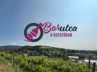 Borutca a Kutatóban: hazai borok, street food és élményzóna a gyerkeknek