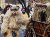 Mohácsi Busójárás 2026