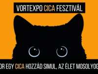 Pécsi VortExpo Cica Fesztivál a Nagy Lajos Gimnáziumban Pécsi VortExpo Cica Fesztivál a Nagy Lajos Gimnáziumban