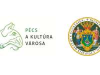 Június 15-ig lehet pályázni "Pécs város tanulói és hallgatói díjainak" elnyerésére