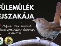 Fülemülék éjszakája - esti séta és madárének hallgatás Tüskésréten