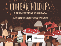 Gombák földjén - Természettár kiállítása