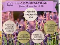Illatos Mesevilág Levendula Lackóval a Mischler Cukrászdában Illatos Mesevilág Levendula Lackóval a Mischler Cukrászdában