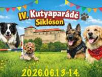 IV. Kutyaparádé Siklóson IV. Kutyaparádé Siklóson