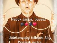 Jótékonysági fellépés Dominikért Pécsváradon