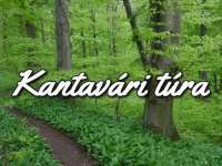 Kantavári túra a Misina Tetőpontról
