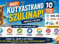 A Hirdi Kutyastrand 10. Születésnapja