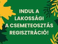 Indul a lakossági ingyenes csemete-regisztráció!
