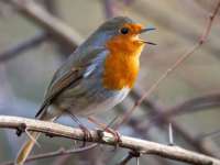 Öko hétvége a Katica Tanyán